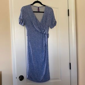Light Blue and White Seraphine Maternity Dress